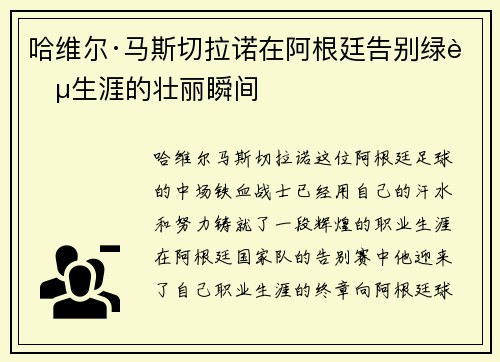 哈维尔·马斯切拉诺在阿根廷告别绿茵生涯的壮丽瞬间 哈维尔·马斯切拉诺在阿根廷告别绿茵生涯的壮丽瞬间